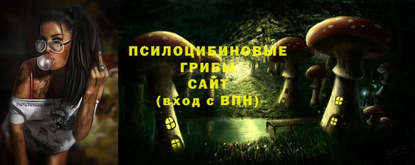 стафф Гусиноозёрск