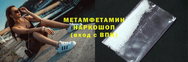 сатива Гусев