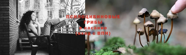 стафф Гусиноозёрск