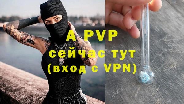 сатива Гусев