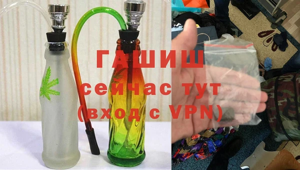 сатива Гусев