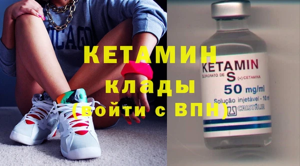сатива Гусев