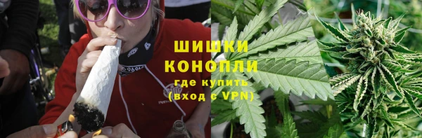 сатива Гусев