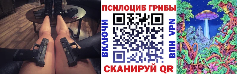 mega ТОР  Жердевка  Псилоцибиновые грибы Magic Shrooms  где найти наркотики 